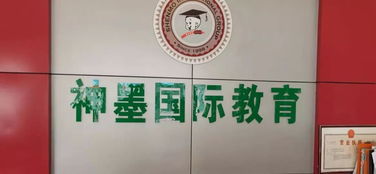 校外培訓機構整治工作有喜有憂，文化藝術交流活動策劃如何助力教育生態優化